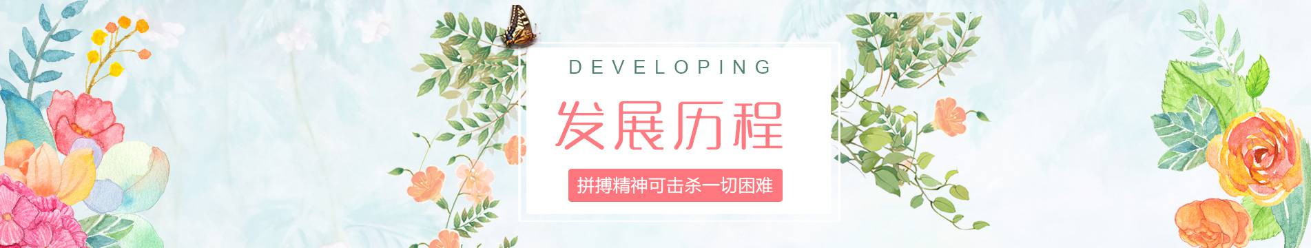 发展历程
